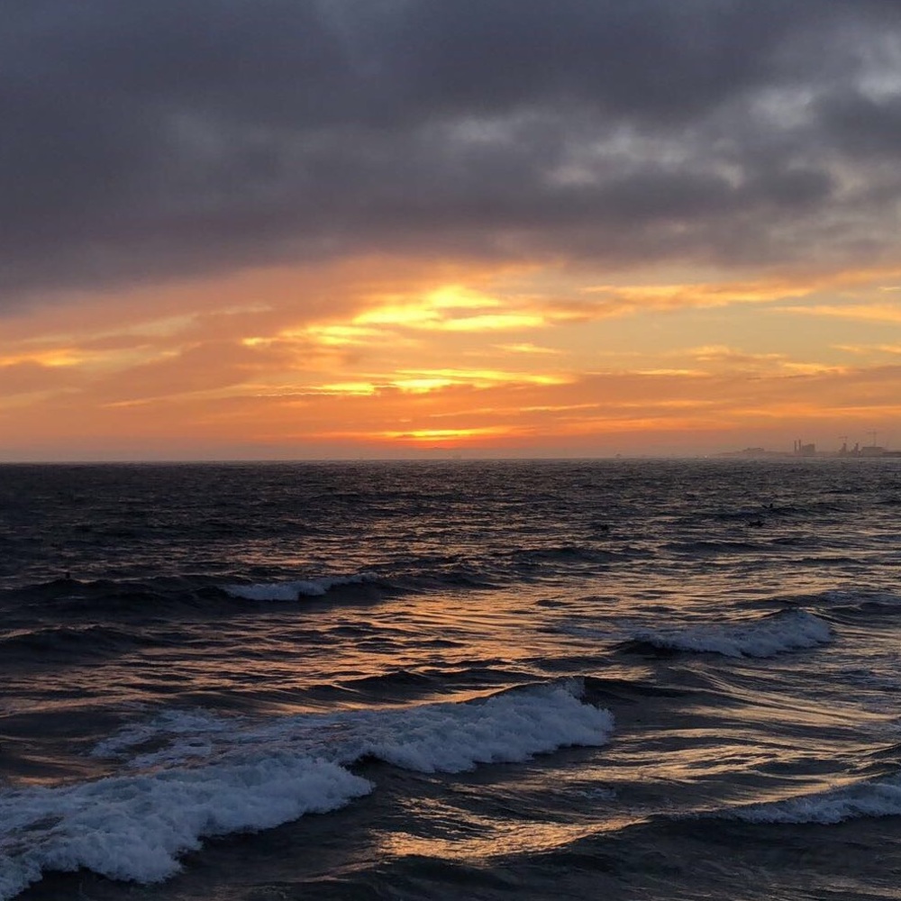 Meet your Posher, Eileen